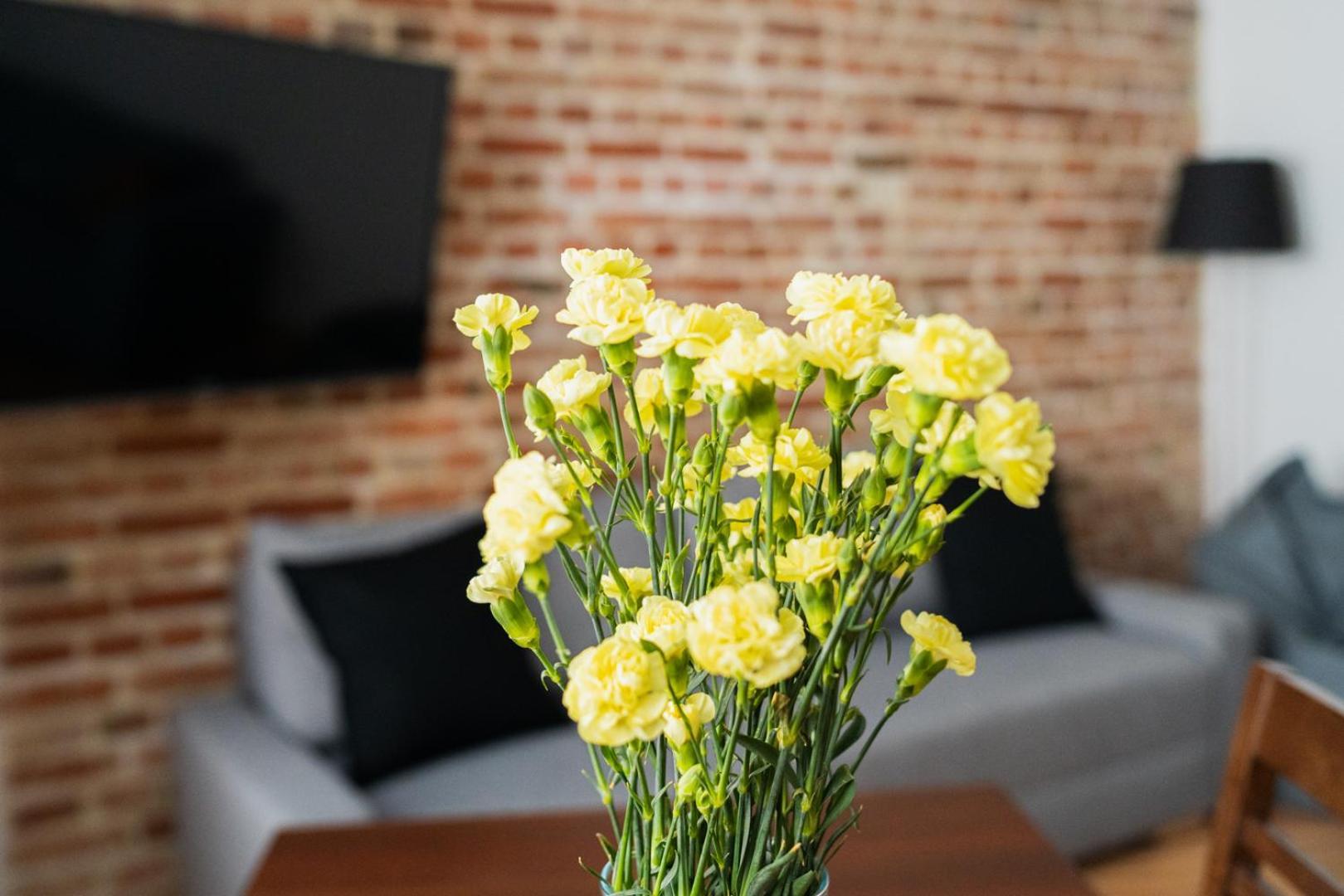 Big Apart - Nice Design - 3 Rooms - Wroclaw City Centre ภายนอก รูปภาพ